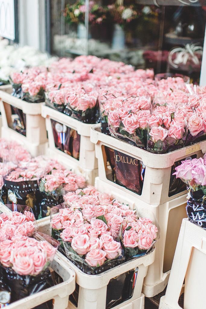 Şubat ayının ilk haftasonuna günaydın🌸 #originelmag