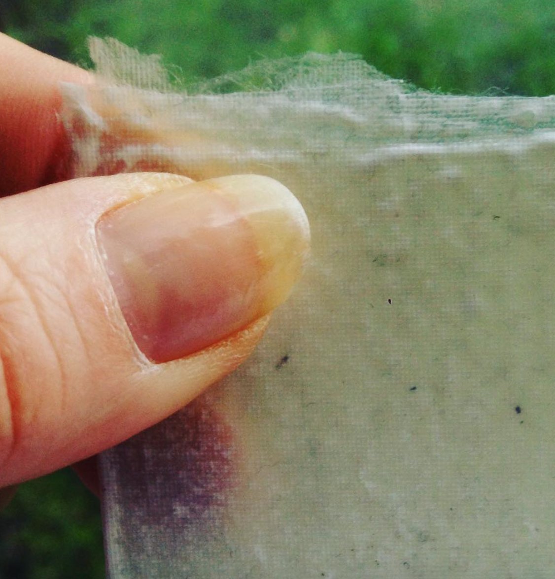 rlearley's tweet photo. Your old #polyesterfleece can b melted down & turned in2 #recycledfilament which can then b #meltblown 2 make a #nonwoven #recycledmaterial - my current #designchallenge is 2 create #newsurfaces for #carinteriors - part of the last stages of the @eutrash2cash project. #publiccars https://t.co/O3rM4keB5i
