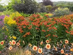 dobrochnafutro's tweet photo. French garden turns into English herbaceous garden and depending on your political view u like it or not says Prof Dewaele @creativelangs #creativeml18 talking about languages https://t.co/dBthE5mZNT https://t.co/EyCovnfhfD