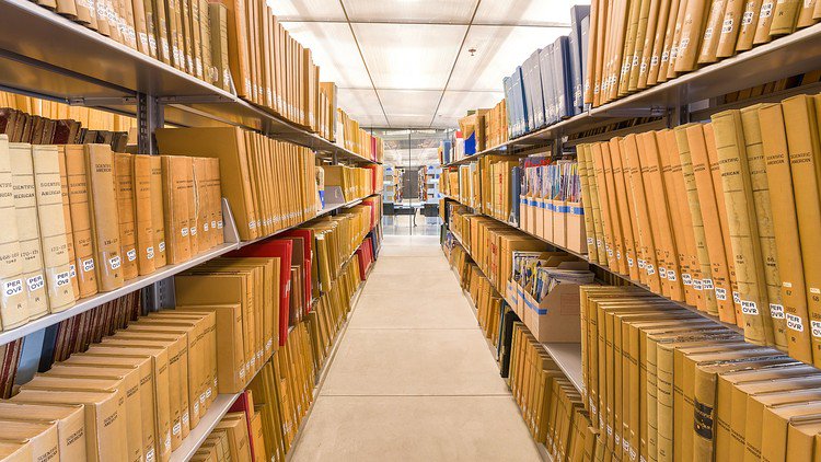 LearnECommercez's tweet image. WordPress Developers: Create a Plugin #2 - Member Directory
☞ on.codetrick.net/BJlGV2l8M
#ecommerce #Shopify #Dropshipping
HkxGVhg8z