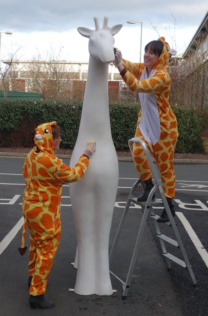 WarrensOfWorc's tweet photo. Our lovely Gerald the giraffe was in need of a clean, so we got the sponges and soap out to give him a good scrub! Just a normal day at Giraffe Towers! #WorcStandsTall https://t.co/NzAeJhJXBt