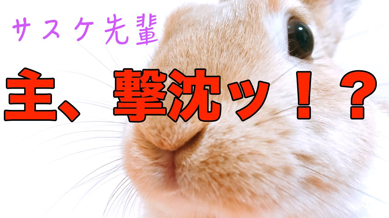 面白いうさぎ Twitter Search Twitter