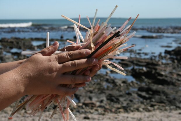 Planète Océan 🌊 tweet media