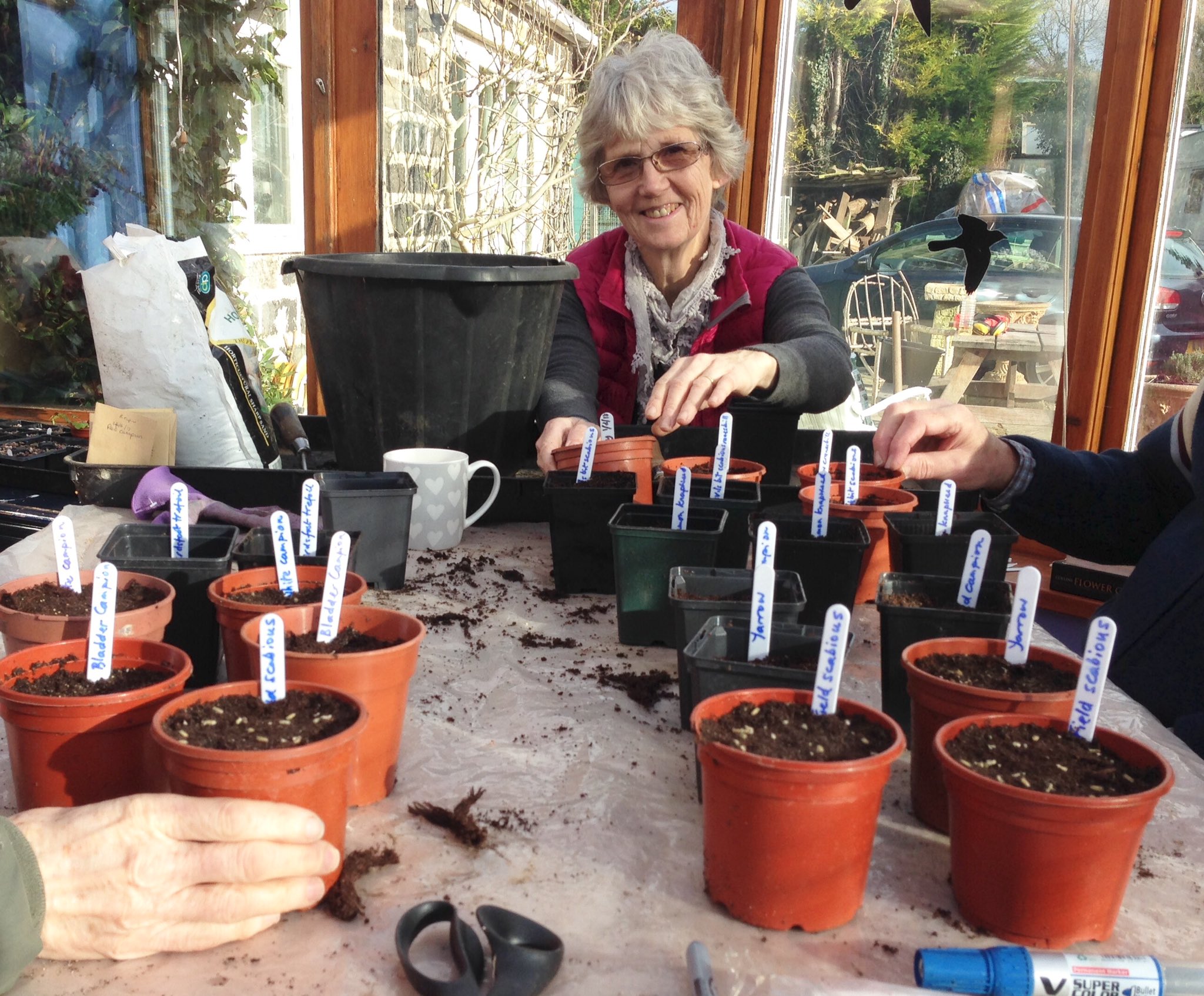 Addingham Environment Group on Twitter "How to grow wildflower plug