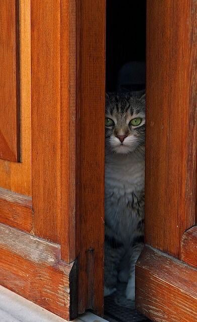 samiralnoby's tweet photo. The doors of happiness are many but sometimes humans are standing at the closed door and do not pay attention to the other open doors https://t.co/oI3QUC06cu