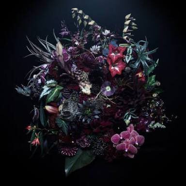 num_ber6's tweet photo. 黒い花だけを取り扱う「黒い花屋」の花が完全に黒くなくてこの微妙な色合いがたまらない。好き。 https://t.co/ypE6bTb8au