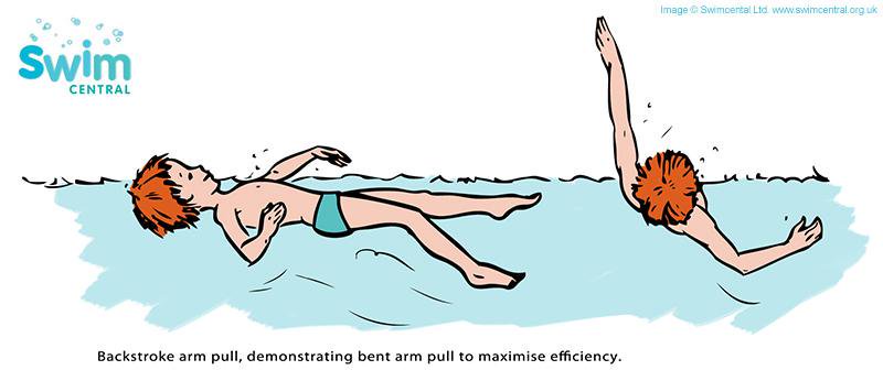 SwimcentralUK's tweet photo. Perfect your #backstroke with a bent arm on the backwards arm pull #swimmingtips https://t.co/INJsKH5XJi