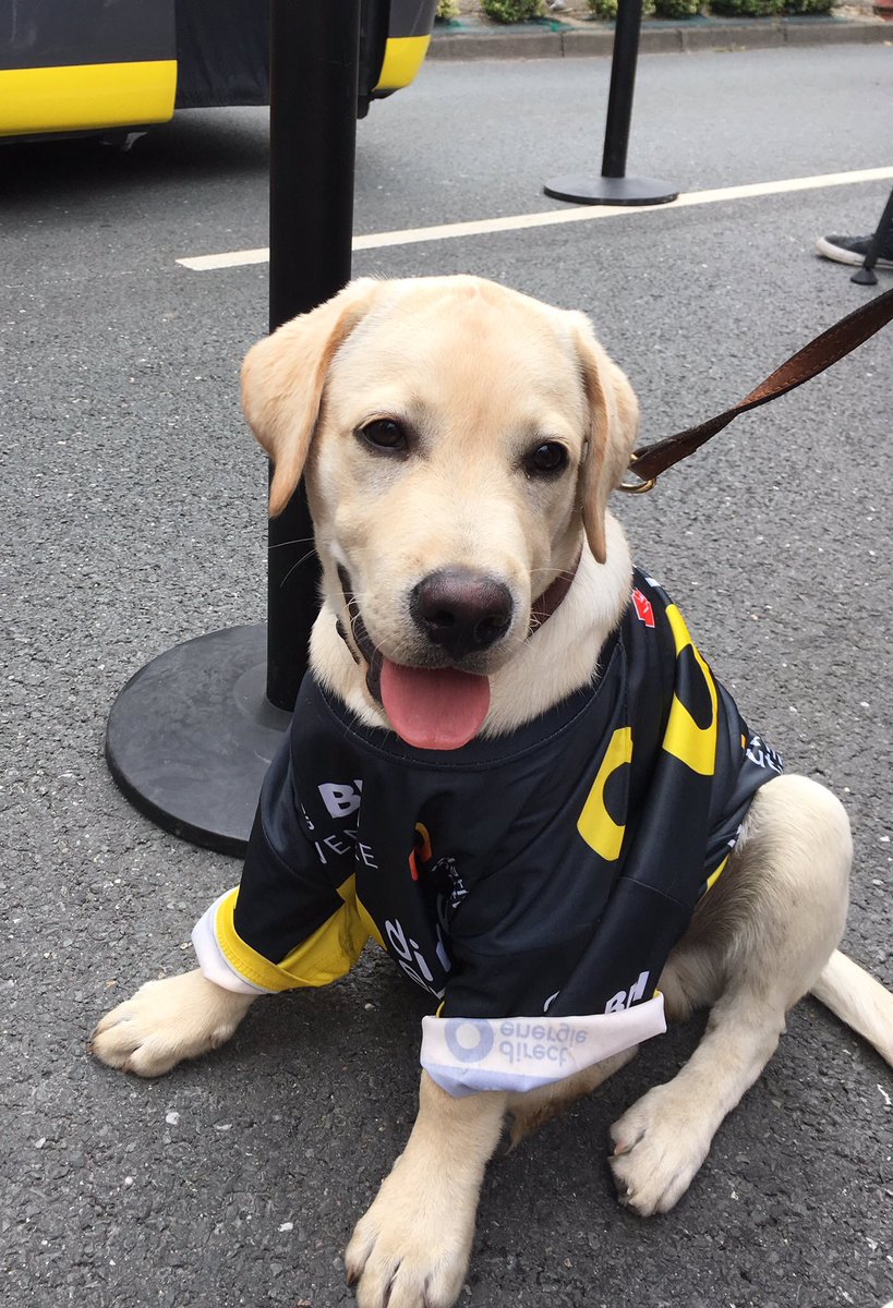 TrokikiClub's tweet photo. Nacho, la mascotte du @TrokikiClub [Trokiki] non ? https://t.co/woZU7dXU5s