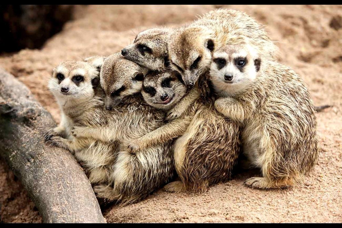 mainzflaniert's tweet photo. Teambuilding matters! @kuliroberts @womenandmovies @bonang_m @radiotabu @GermanLetsPlay @olielo_travels @MrScottEddy @nikosaliagas https://t.co/aOfbuC5uX3