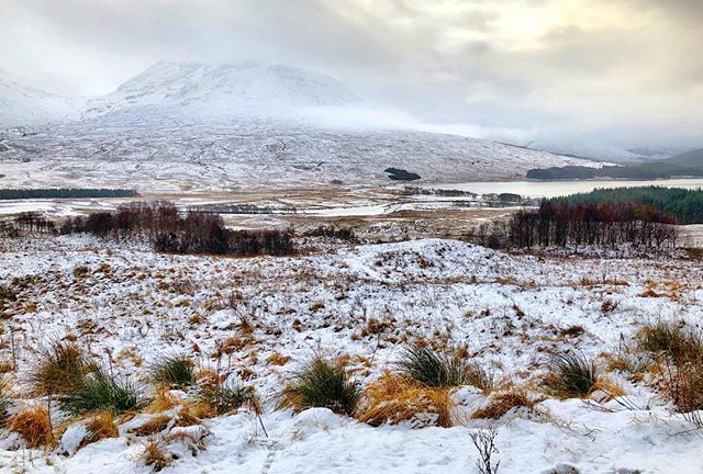 traveldaveuk's tweet photo. Rannoch Moor, another highlight stop on a Scottish Highlands tour with PlacePass. perfect setting in the winter time. #Scotland #PlacePass #highlands #RannochMoor https://t.co/vOYWCLafTa https://t.co/0kVLDg62dP