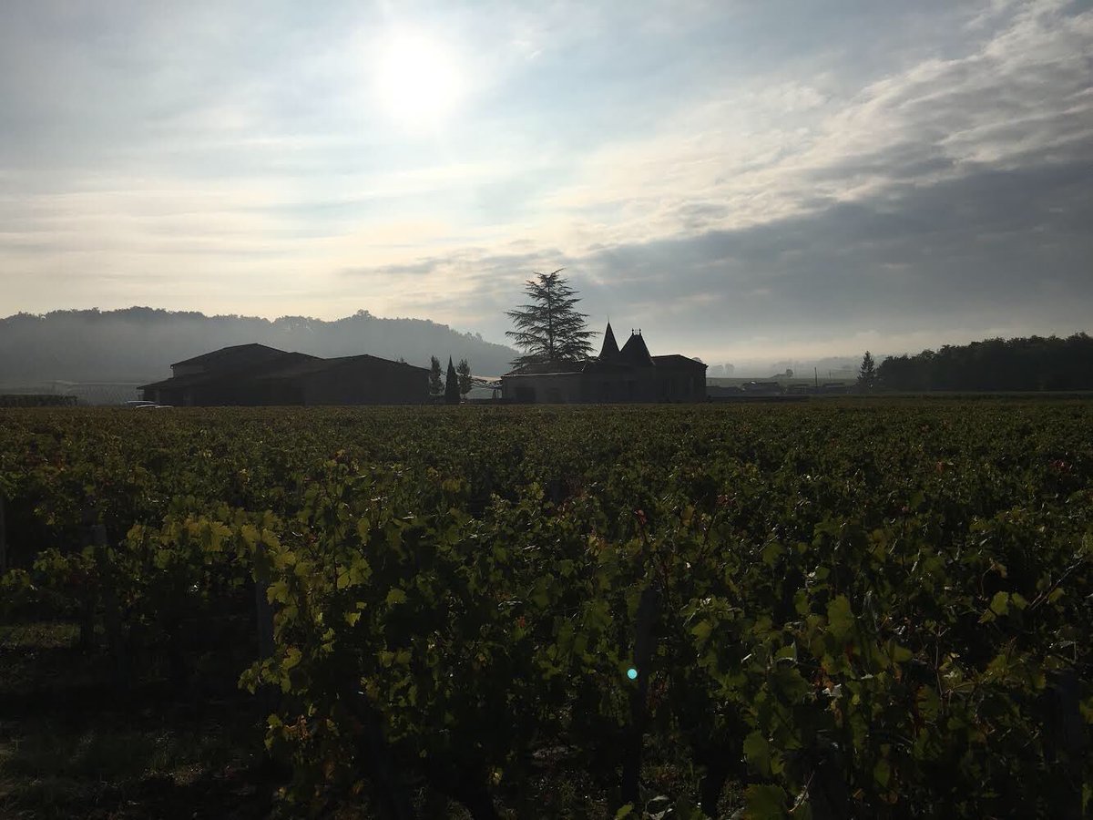 INTO_wines's tweet photo. Gourmet lunch overlooking vineyards and winery #ChateaudeCandale 🍷👌
The food is #gourmet #creative #delicious 😋#stunning #views and a great assortment of their delicious #wines #saintemilion #bordeaux @BordeauxWines @VisitBordeaux https://t.co/1pOmuug8Vg