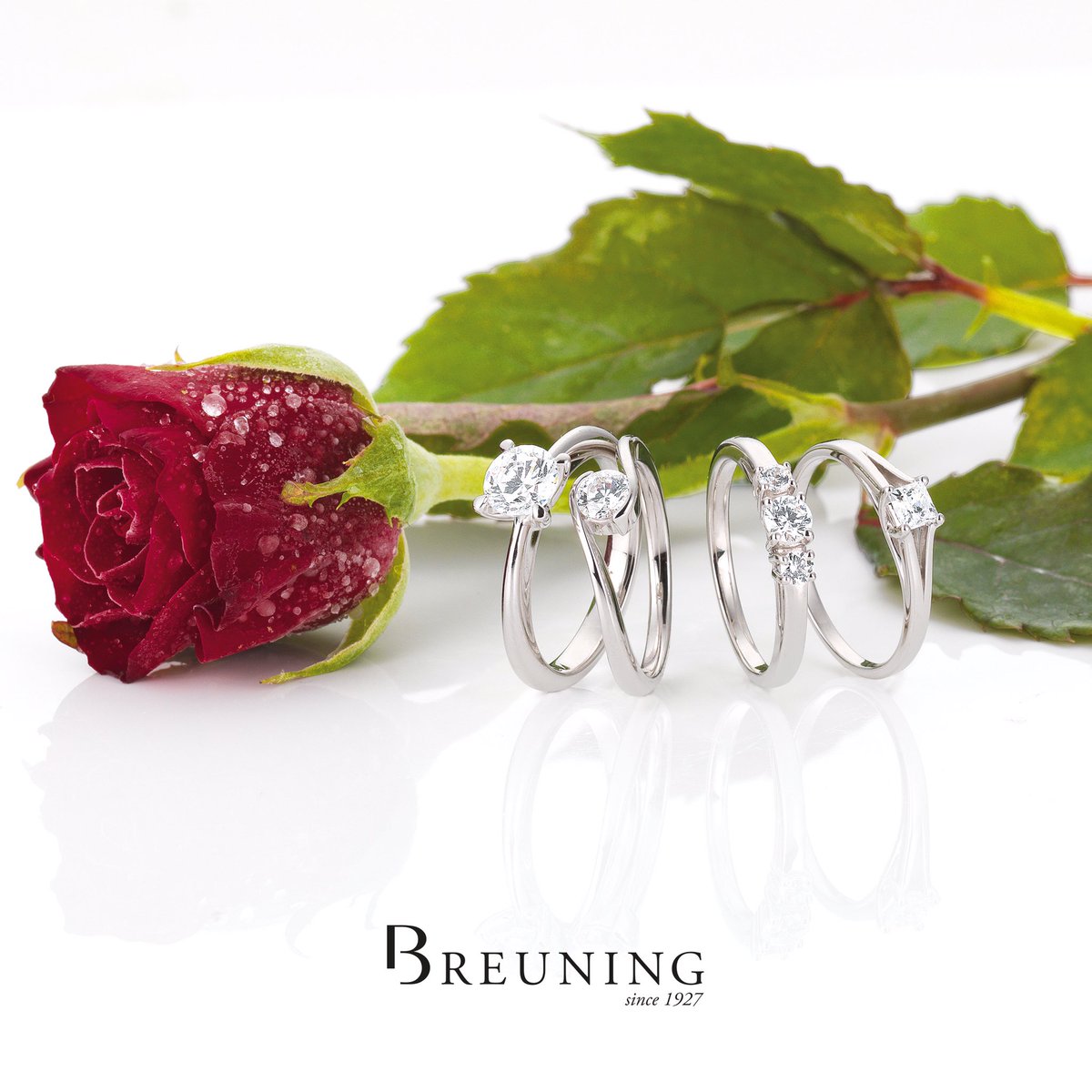 Breuning UK (@breuninguk) on Twitter photo 