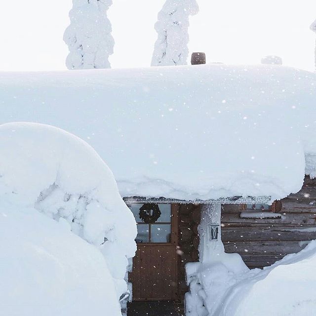 Featured artist <a href="/minde_/">Minna Valkeavirta</a> 
At the moment there really is enough snow in Finland

#koesuomi #feelfinland #gofinland #artofvisuals #visualsoflife #beautifuldestinations #theimaged #welivetoexplore #agameoftones #exploretocreate #justgoshoot #peoplescreatives #naturegeography #th…