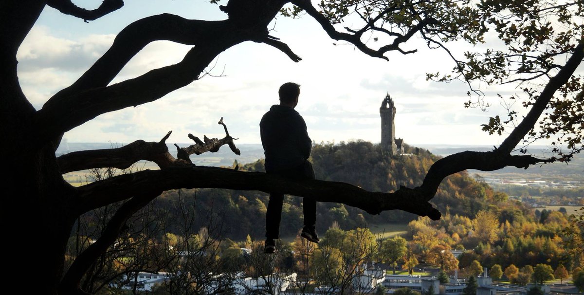 biotweeps's tweet photo. So hopefully lots of you will go out and climb at least a little way into the tree tops. Remember to stay safe within your limits of confidence and skill and share a photo with the rest of the twitter world. #MeInATree https://t.co/6wokw0pF7o