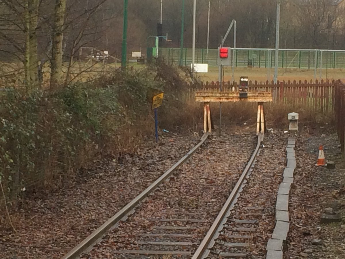 Tom Ingall tweet media