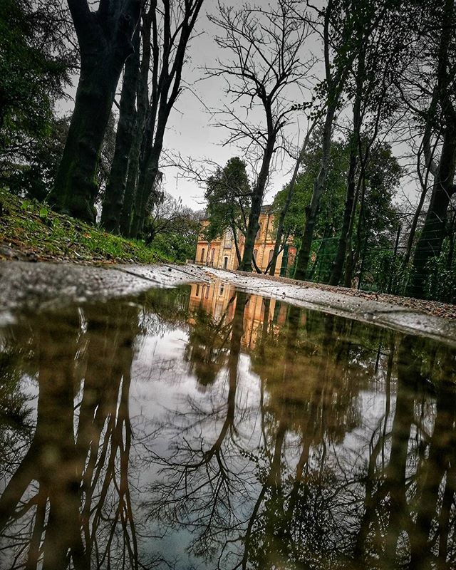 ibarakaldo's tweet photo. Días de lluvia.. ¿Para que nos quejamos si no depende de nosotros? 😃😃😃
.
#barakaldo #huaweip9 #igersbilbao #igersspain #igerseuskadi
.
Creador de Emociones
Emotions Creator
Emozio Sortzaile
.
ONLY MOBILE PHOTOGRAPHY
My Style.. Not One
.
Lo importante… https://t.co/YDtL1PjUxf https://t.co/Lh7wxQnOs5