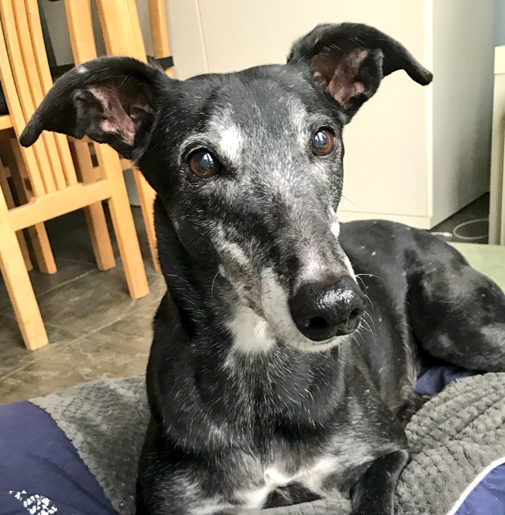 Jemmychew's tweet image. An extraordinary part of an ordinary family

Jemmy Chew 

24th April 2006 - 2nd February 2018