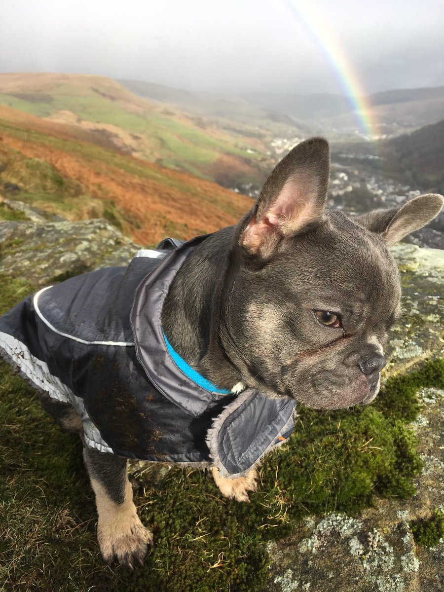 Dsimondavies's tweet photo. @DerekTheWeather storm over Bwlch approaches Ogmore Vale with pot of gold that is Bryn at the end of the rainbow 🌈🐶 https://t.co/h2q3C3V67o