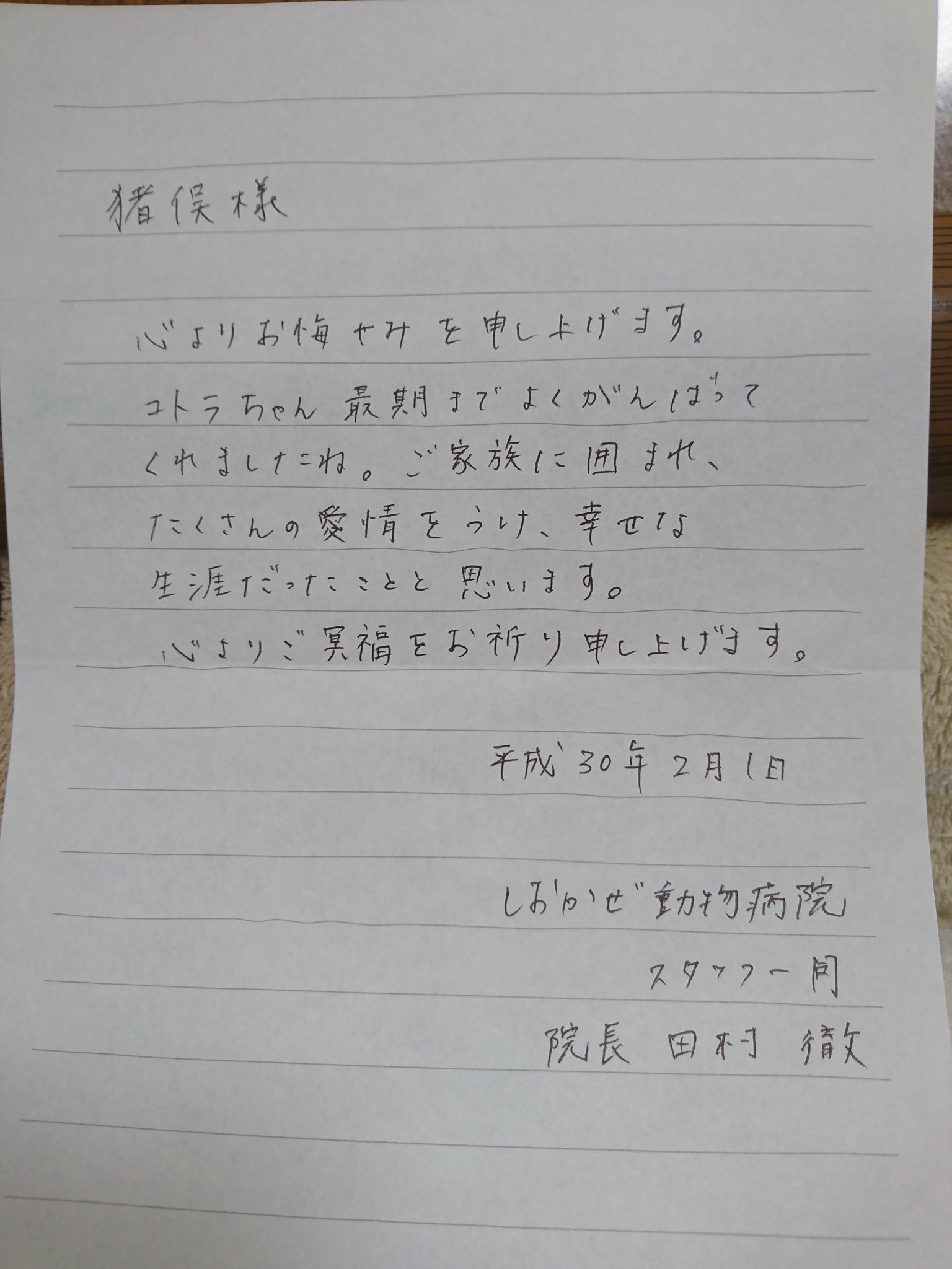 Twitter 上的 ビスミン 今日珍しく我が家にぶ厚い郵便がポストに入ってたから しおかぜ動物病院からだ なんだろう って開けてみたら なんと お手紙と本が入ってた なんて優しい先生とスタッフさんなんだ 手紙と本を読んだからまだ涙が溢れてきた 柏崎