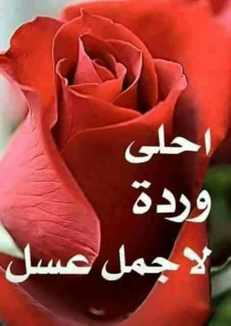 جاسم أبو الحسن tweet media