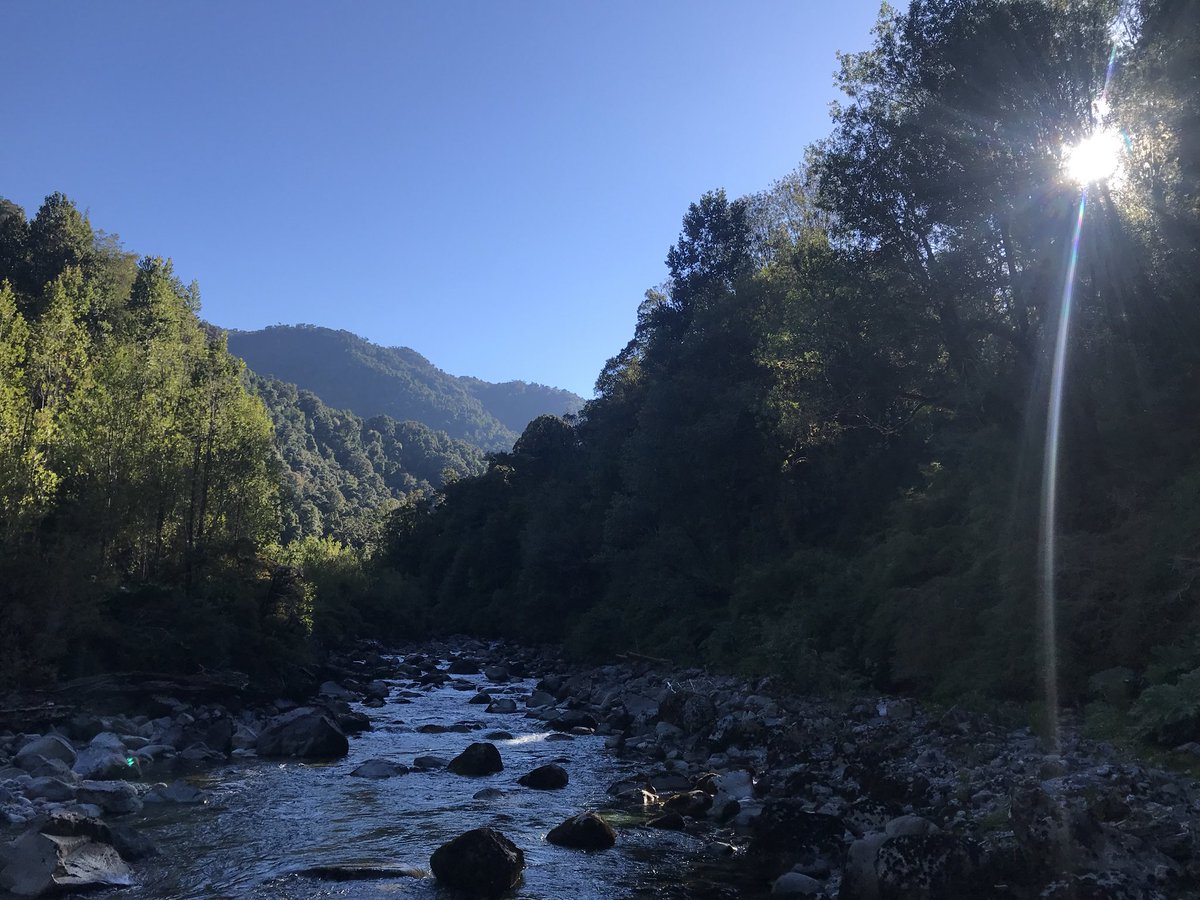 CryoPISCES's tweet photo. Long day in the humid heat sampling rivers and hot springs in Comau fjord yesterday. Why? Part of our project is to quantify different nutrient sources into the #Patagonia fjords and how future changes in these might impact ecosystems #chile #science https://t.co/lbF1QHTBlV
