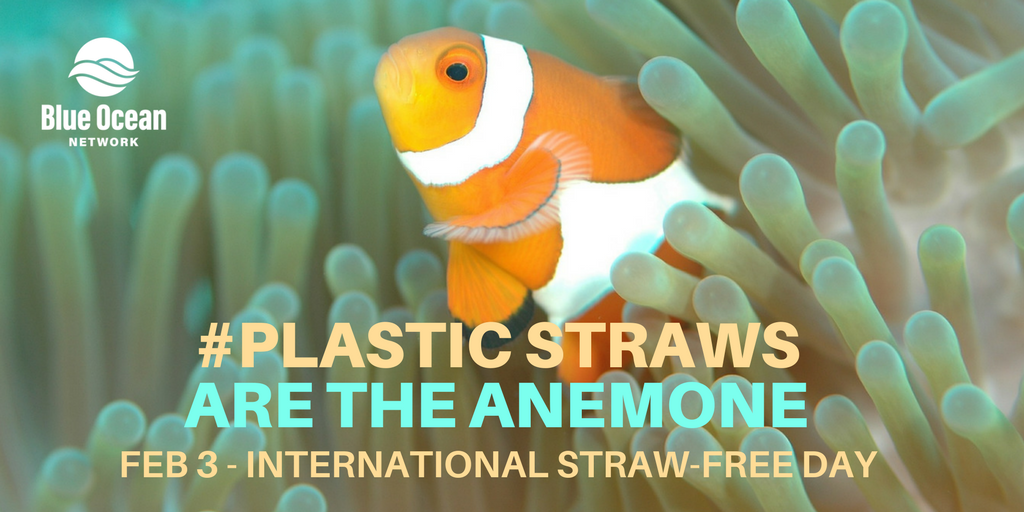 Blue Ocean Summit tweet media