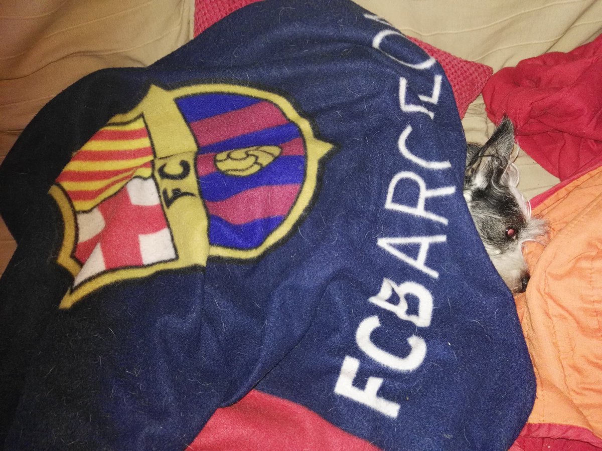 yoshifcb1899's tweet photo. Duerma yo caliente y riase la gente, Yoshi https://t.co/0ROxohOCN3