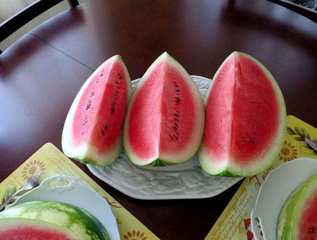 groasis's tweet photo. Use the Groasis Technology for urban farming, and enjoy delicious fruits and vegetables! #UrbanFarming #GreenMusketeers https://t.co/pXOigWdhFj