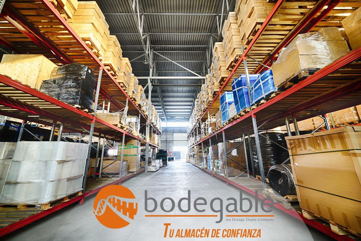 BodegableGDL's tweet photo. Almacenaje de pallets, #almacenaje de archivo, #MultiBodegas
Ofrecemos productos de calidad.

#BodegasenGuadalajara #Almacén Información INBOX. https://t.co/L5u78HttC5