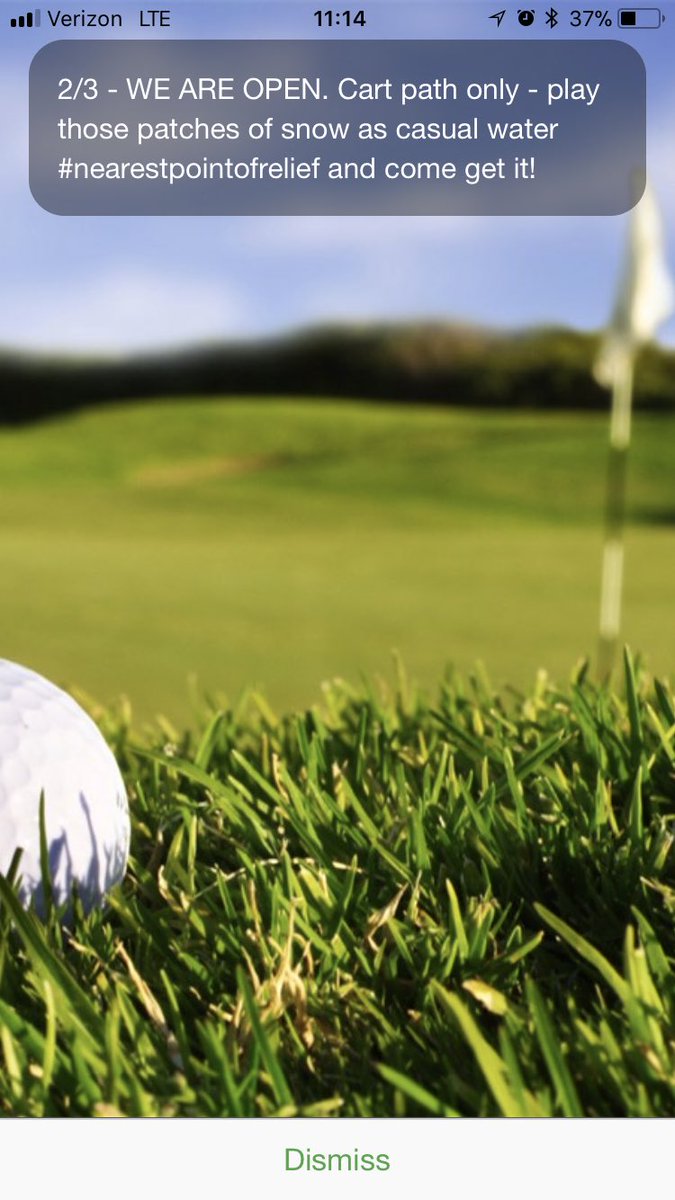 Cattails_Golf (@cattails_golf) on Twitter photo 