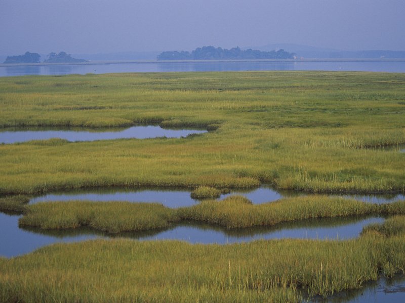 Nature Conservancy Protects Saskatchewan Wetland dlvr.it/QDsjsM https://t.co/wM1RUHrPfy