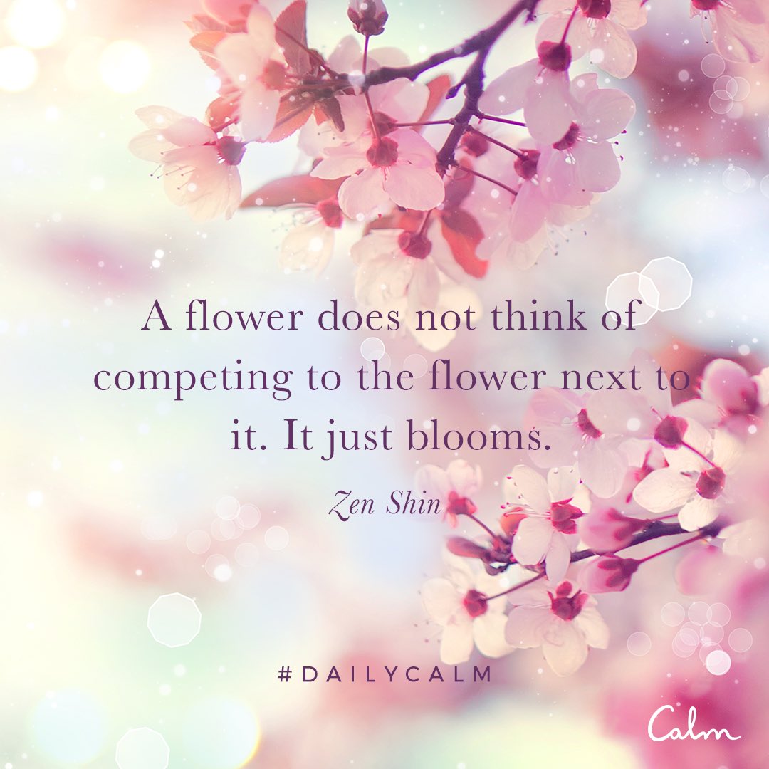 RealDebraCox's tweet image. #DailyCalm @calm calm.com/quote?id=N1fWz…