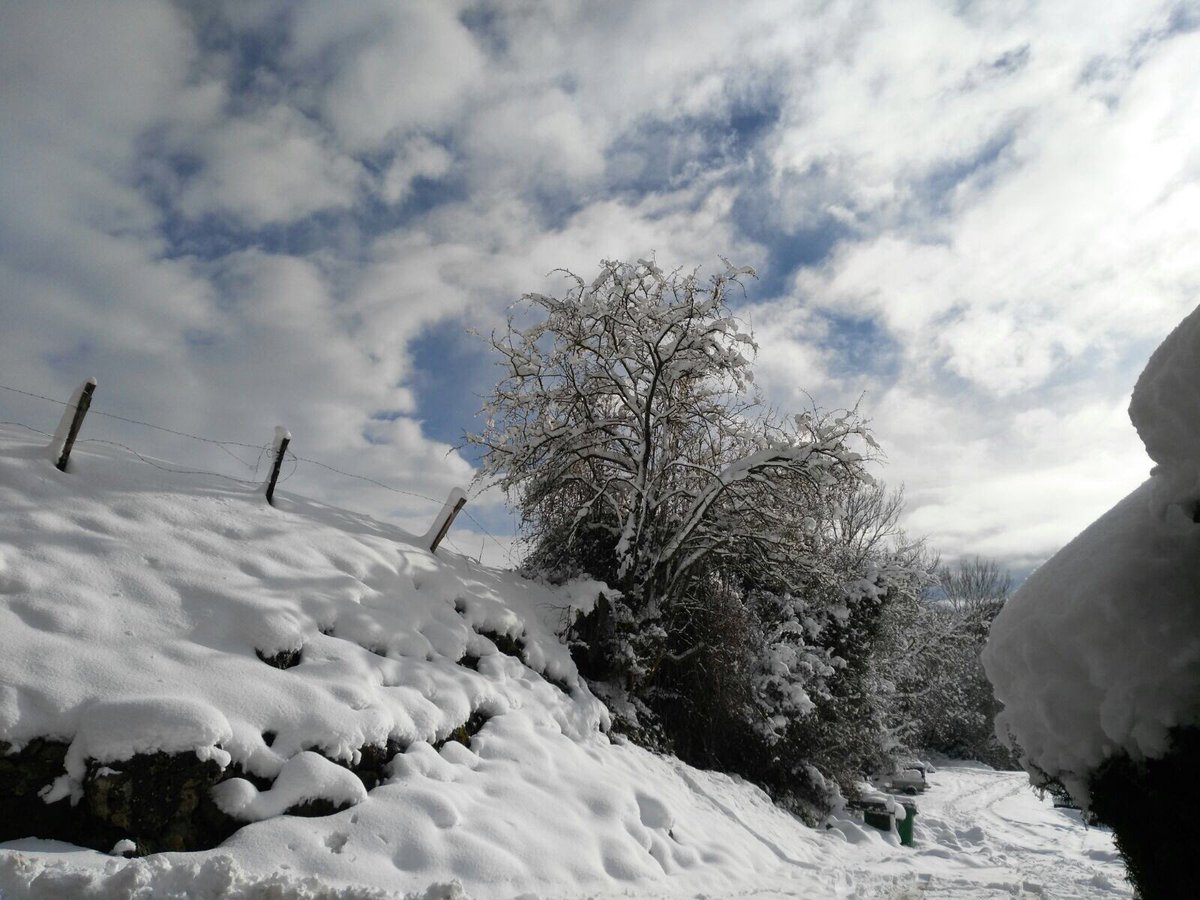 Posadafontibre's tweet photo. Hay días buenos y BUENOS DÍAS #nieve #campoo #CantabriaInfinita #Fontibre ⛄️☃️❄️❤️ os esperamos en @posadafontibre https://t.co/pAAM0el8Pn