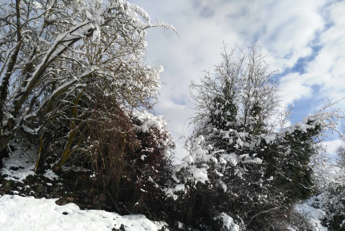Posadafontibre's tweet photo. Hay días buenos y BUENOS DÍAS #nieve #campoo #CantabriaInfinita #Fontibre ⛄️☃️❄️❤️ os esperamos en @posadafontibre https://t.co/pAAM0el8Pn