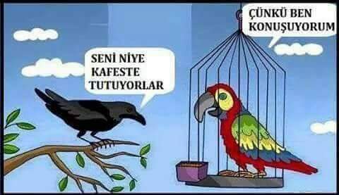 #FurkanaZKPzulmü
Zulüm varsa direniş Var