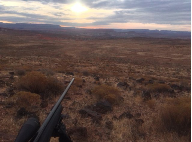 IowaSlam's tweet photo. #Hunting on a #Budget 
https://t.co/PHq3Q9pi74
#CoyoteHunting #HuntColorado #HuntUtah https://t.co/oFkzZfRqro