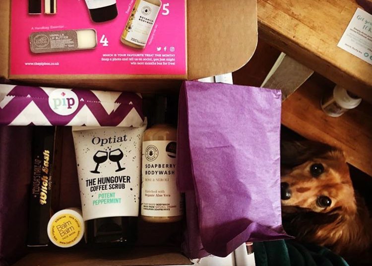 The Pip Box tweet media