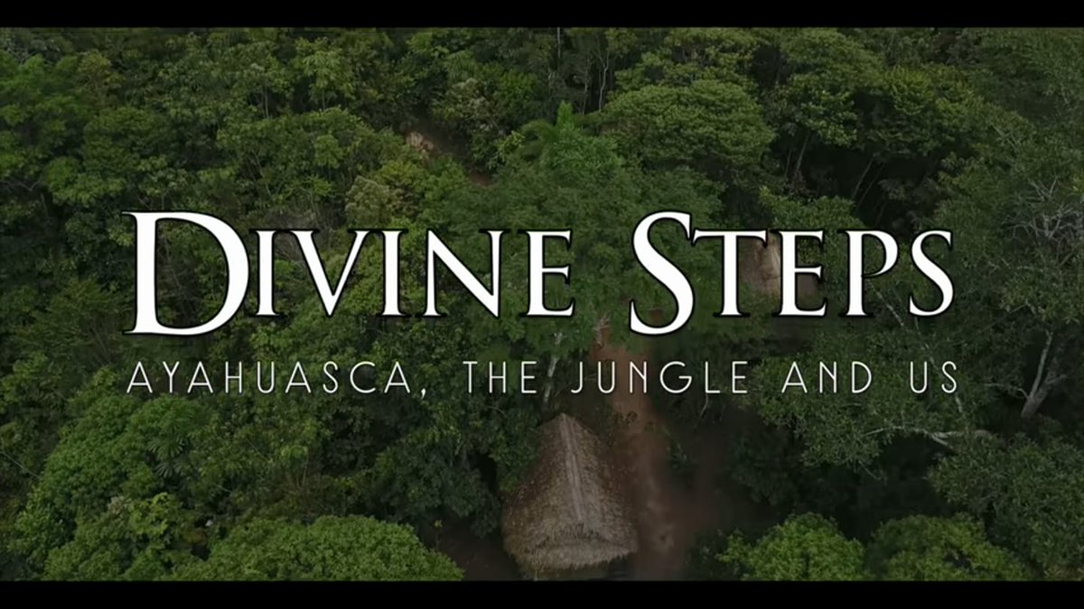 DSRetreat's tweet photo. Check this out!
The trailer for my new documentary about Ayahuasca, Shamanism, Indigenous tribes and the Amazon jungle.

Divine Steps - Ayahuasca, the Jungle &amp; Us [Documentary Trailer] https://t.co/4XyGg4vmUs

#DivineSteps #AyahuascaRetreat
#Ayahuasca #Shaman #Documentary https://t.co/CuaIGIgbk1