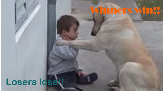 Knowtist tweet picture