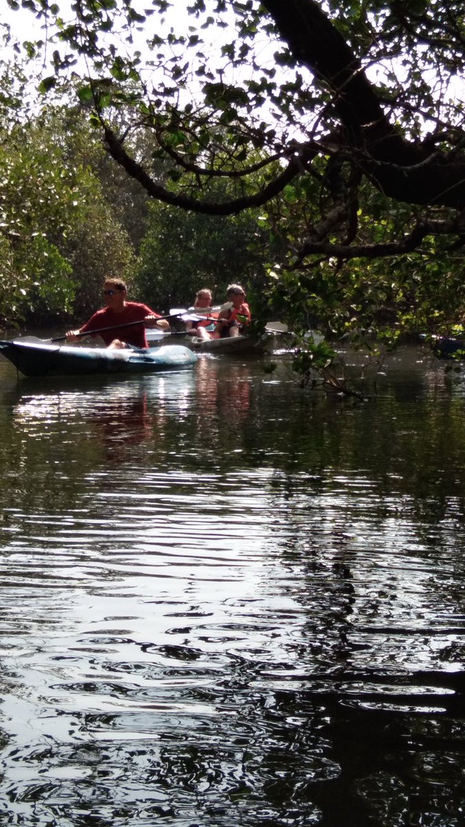ExplorersKonkan's tweet photo. Mystery of the Jungle always pulls you back in. #konkanexplorers https://t.co/BpQYAvB0UO