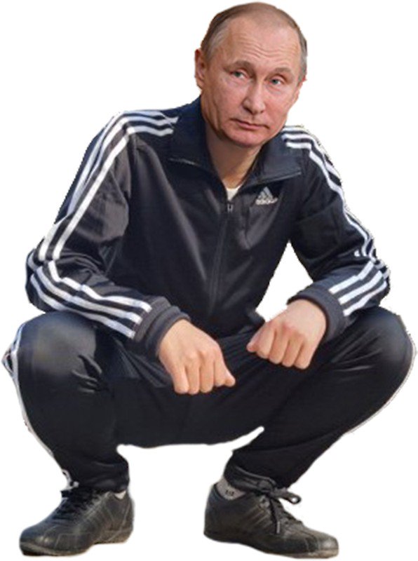 まっとdc En Twitter ゴプニクで検索するとプーチンもいますね