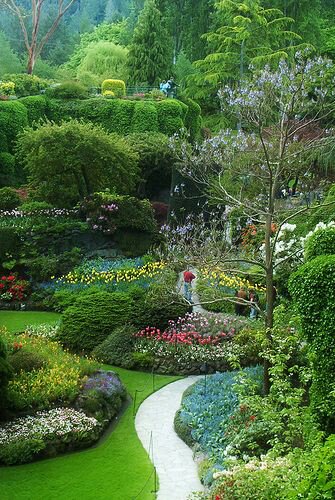 helpinghomesFM's tweet image. #backyardlegends