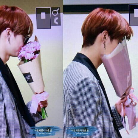 Widad9ahgase's tweet photo. Jb and flowers , a concept 😌🌸
#TwitterBestFandom #TeamGOT7 https://t.co/XNKcWZbTXy