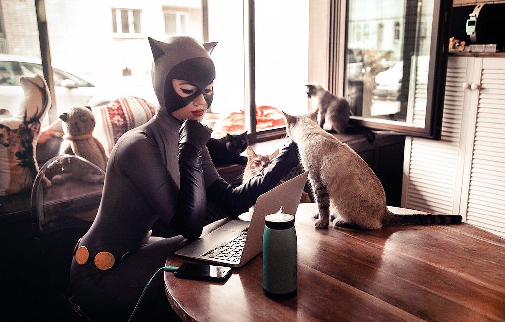 #Happy #Caturday