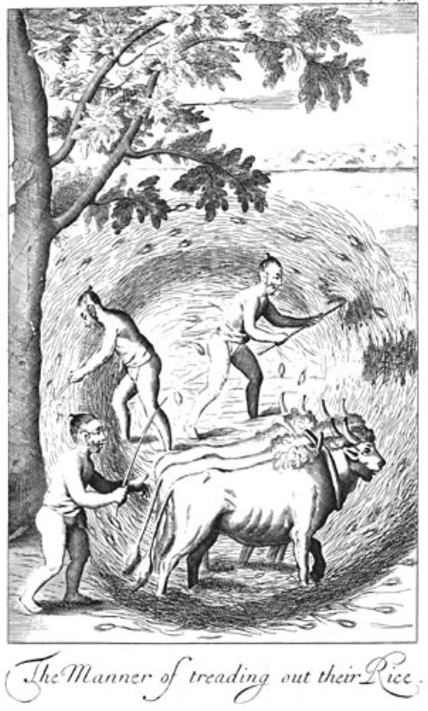 Knox filled his time making observations & sketches, with a keen eye. He made detailed descriptions of farming methods, traditional dress, rituals & folk beliefs of the people he lived among.