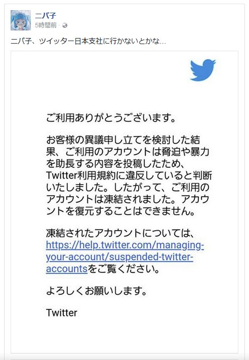 ツインテールの日 にアカウント凍結を食らったニパ子姫のその後 Togetter