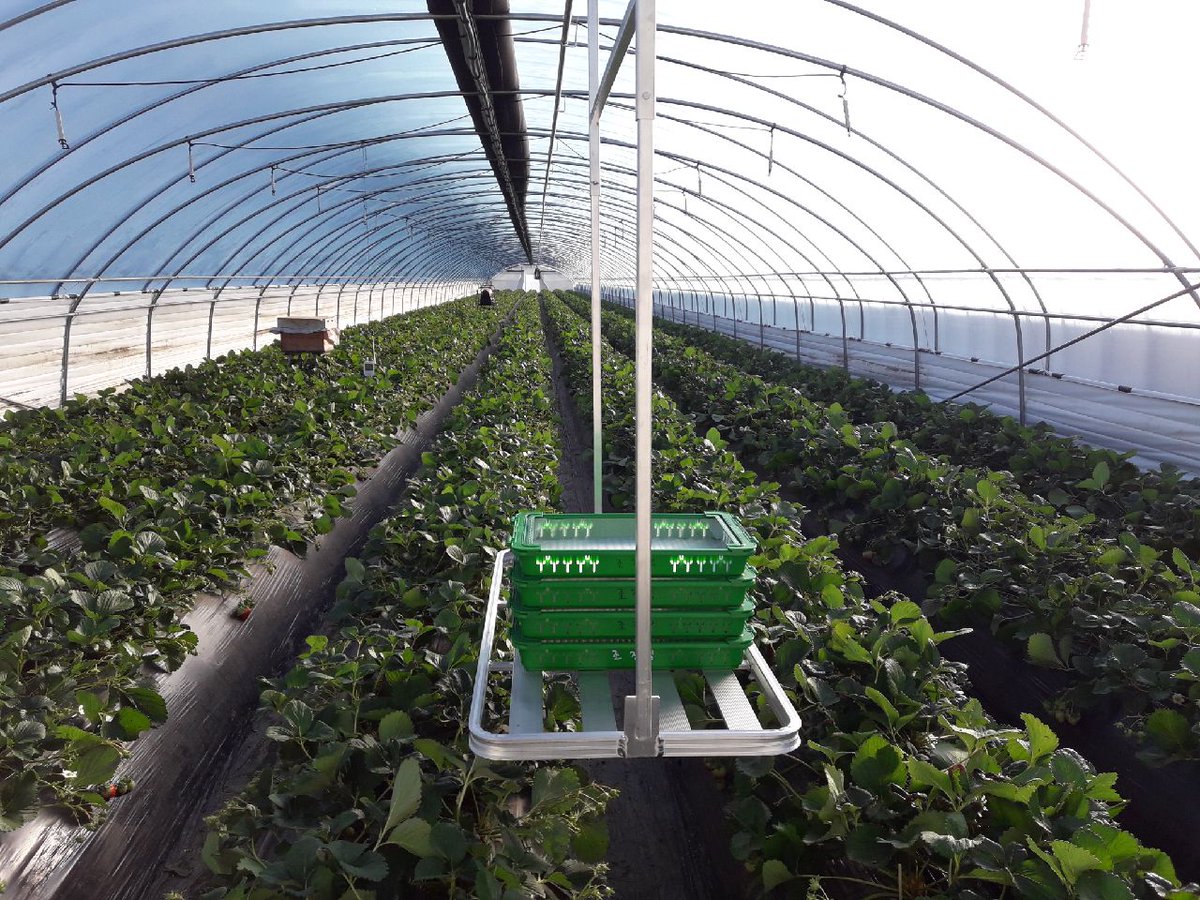 편의 장비 
010ㅡ8000ㅡ3557