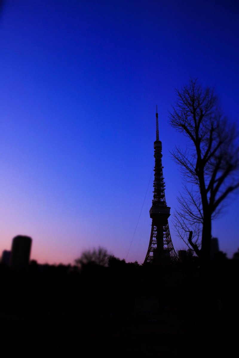 詩 東京タワー 夕暮れとシルエット ファインダー越しの私の世界 カメラ好きな人と繋がりたい 写真撮ってる人と繋がりたい 写真好きな人と繋がりたい キリトリセカイ シルエット 東京タワー 夕暮れ 夕景