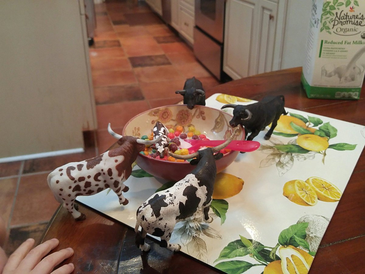 Robert Vander Veur tweet media