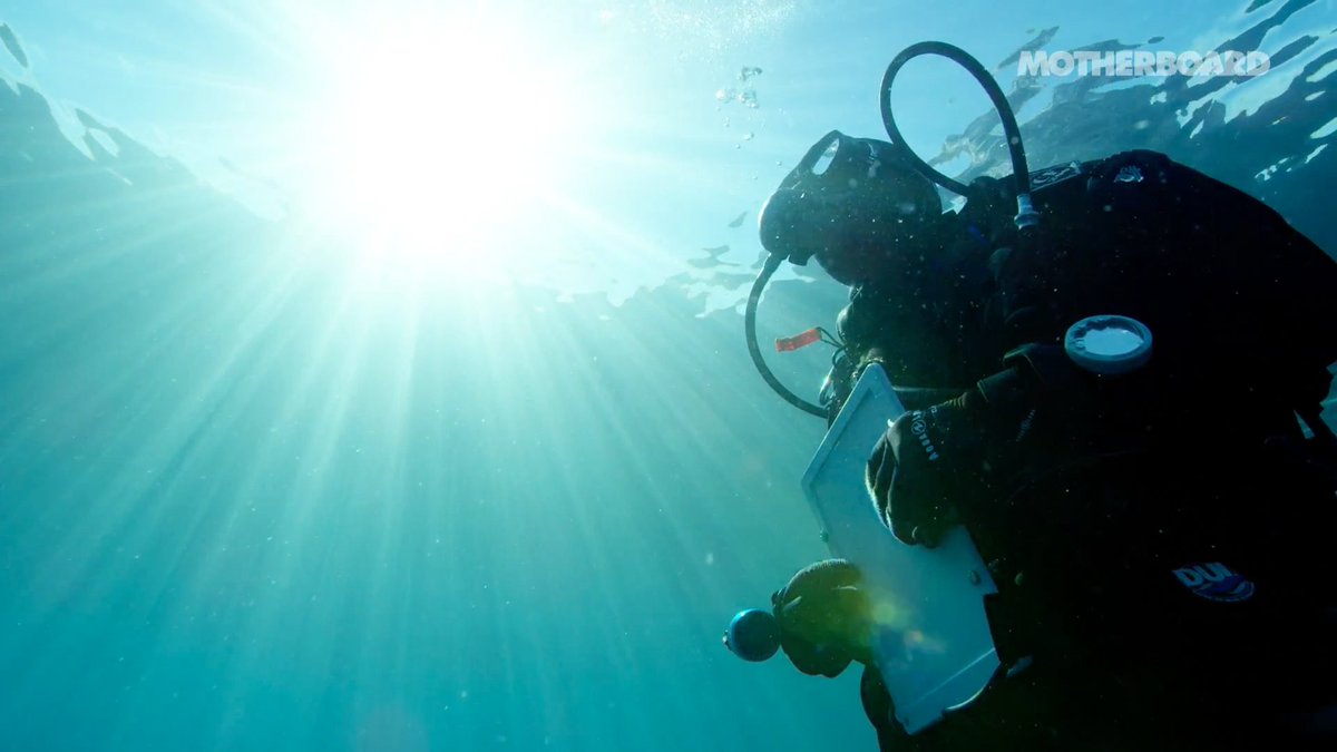 Douglas McCauley tweet media